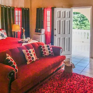 876 Ja Oasis & - By Airport Kingston